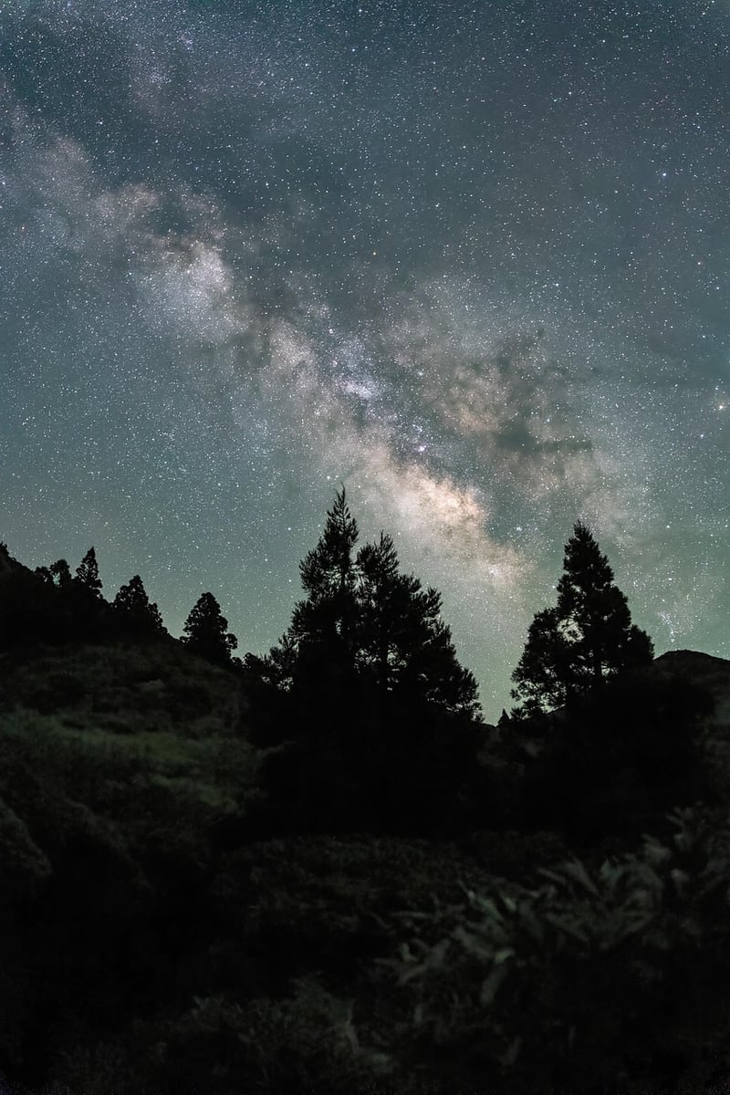 Meteor Shower Wedding