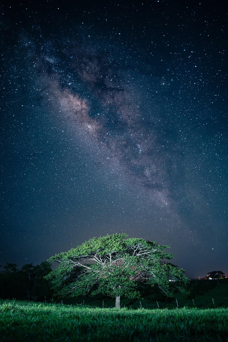 Meteor Shower